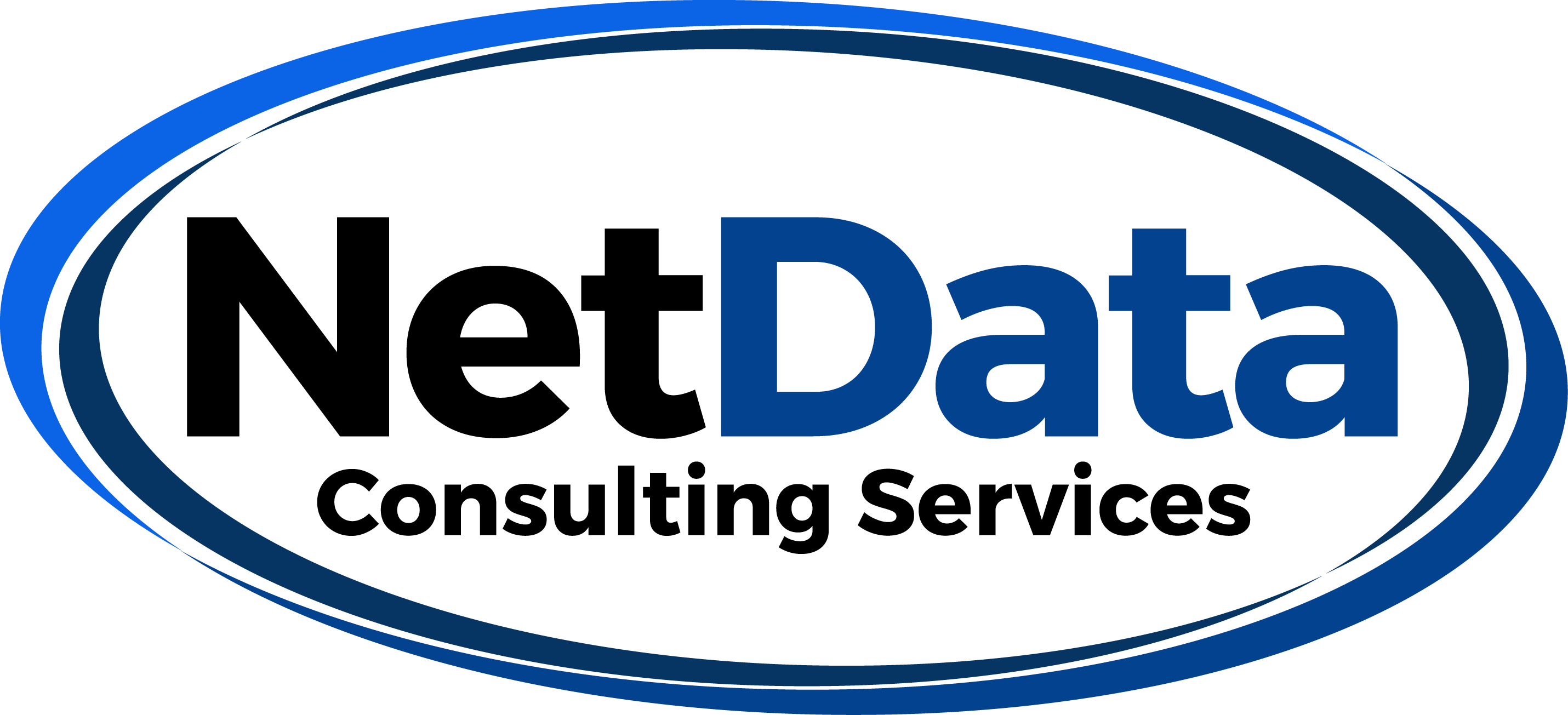 NetData Consulting Services